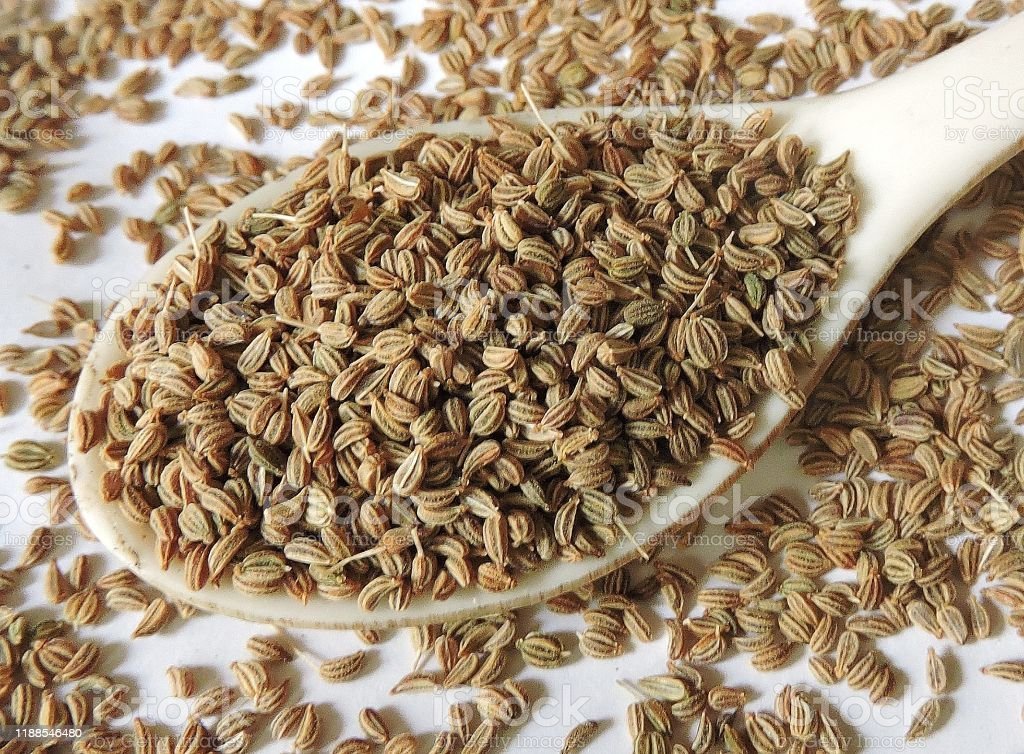 Spice -Ajwain or Bishop's weed. Scientific name - Trachyspermum ammi. Also known as carom, ajowan, caraway. Small seed like dried fruits are eaten row, used as spice. Also used in herbal medicines.