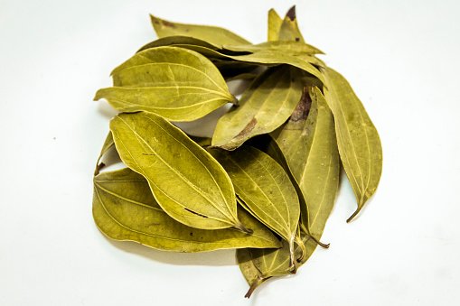 Cinnamomum tamala, Indian bay leaf, also known as tejpat, Malabar leaf, Indian bark,Indian cassia, or malabathrum